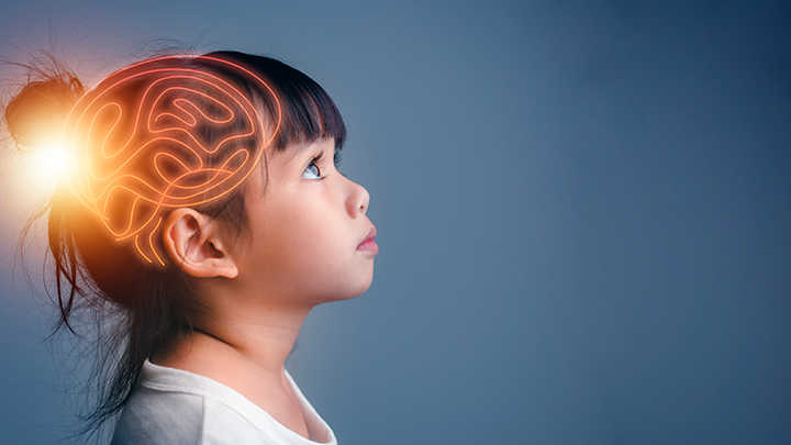 Escultores de nuestro cerebro: 6 prácticas saludables para aprender y enseñar