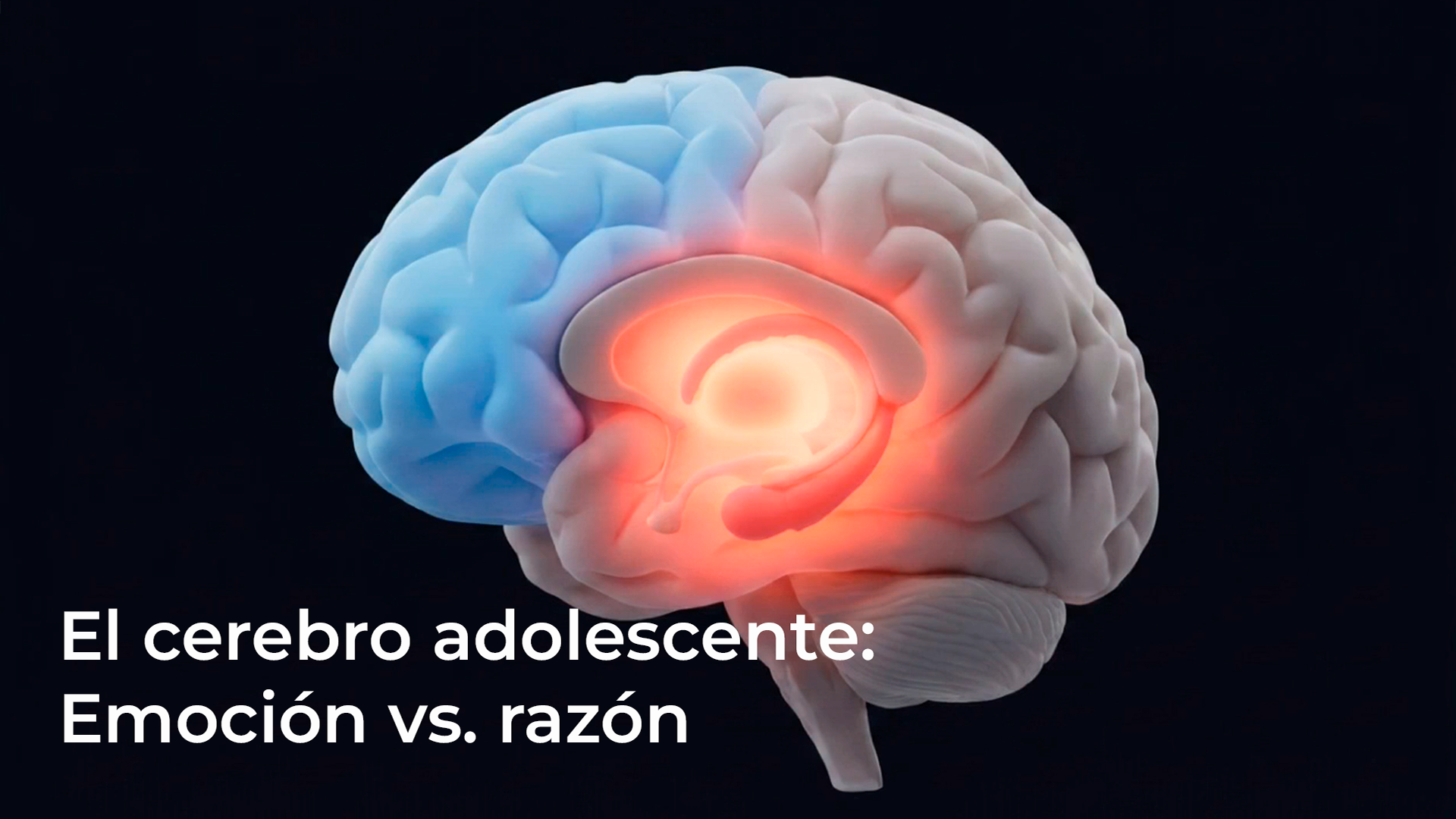 El cerebro adolescente: emoción vs. razón